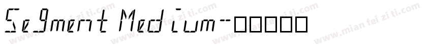 Segment Medium字体转换